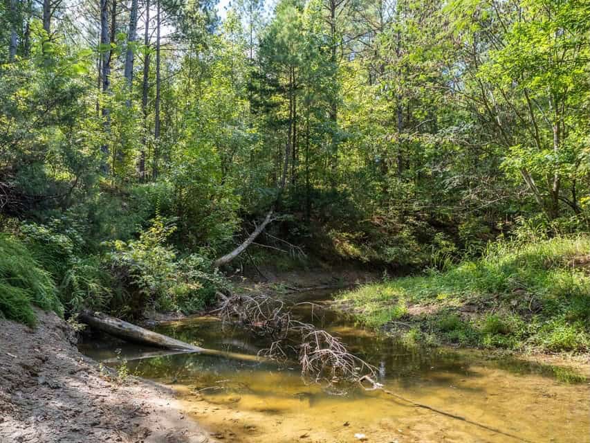 109 Acres For Sale Starkville MS