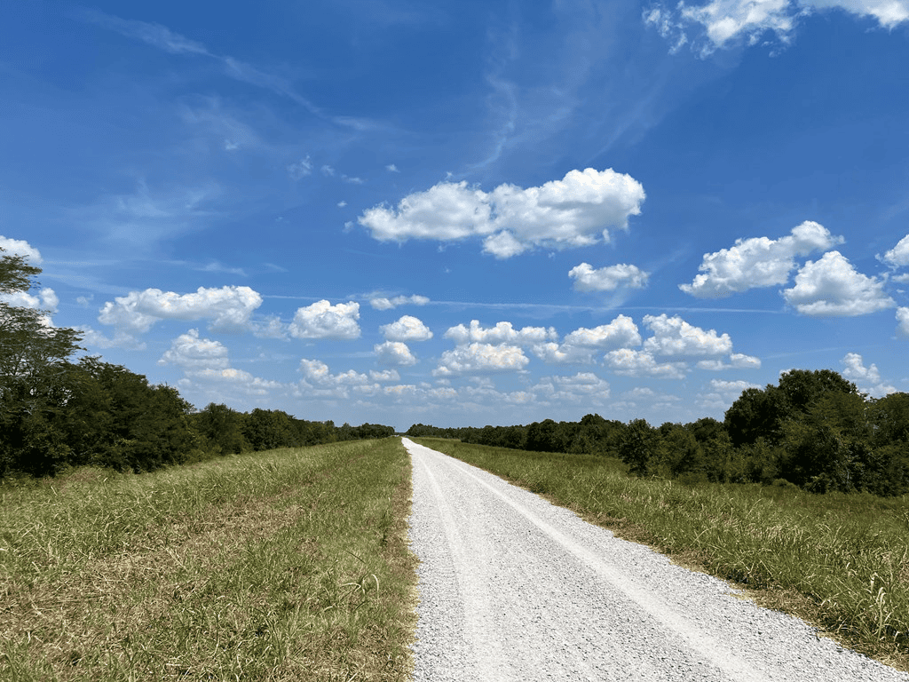 Hunting Land for Sale in Yazoo County, MS
