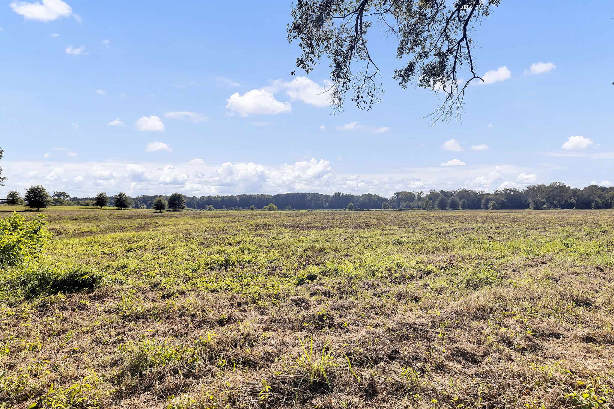 SOLD! Texas Neches Riverfront Hunting Property East of Dallas TX