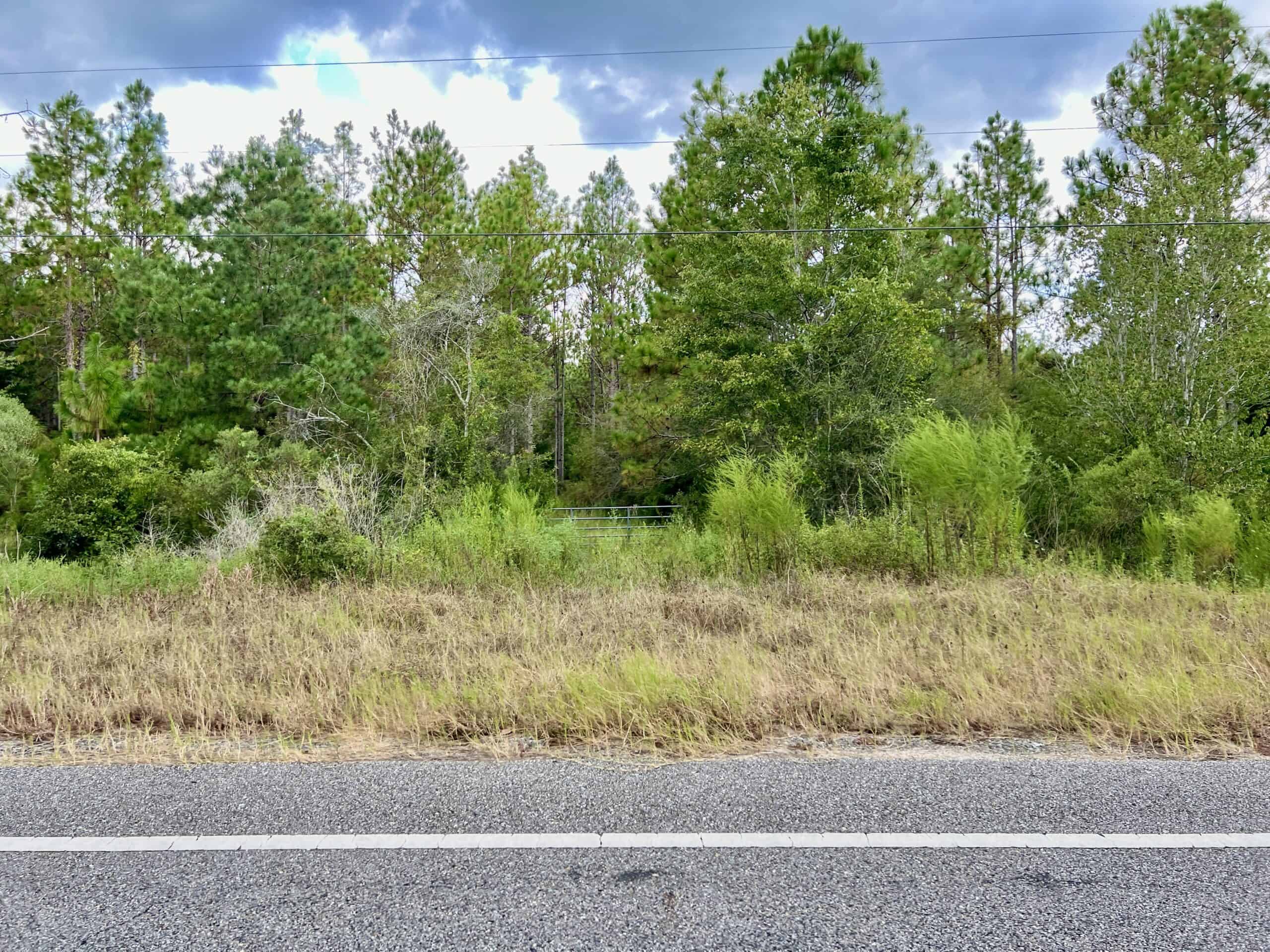 Prime Riverfront Hunting & Recreational Land for Sale in Samson Alabama!