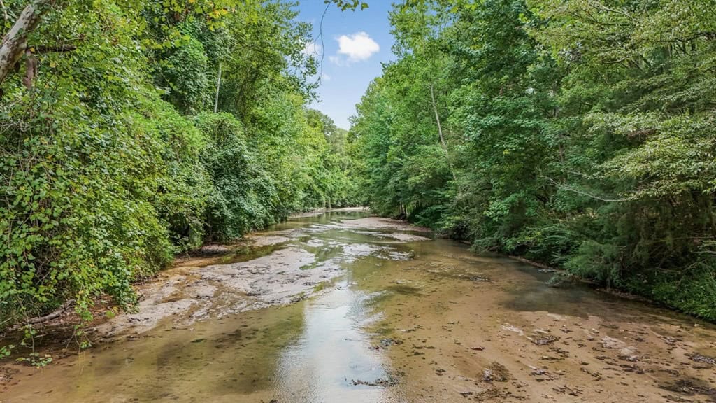Lonely Live Oak – 1115 Acres Hunting Timberland SW MS