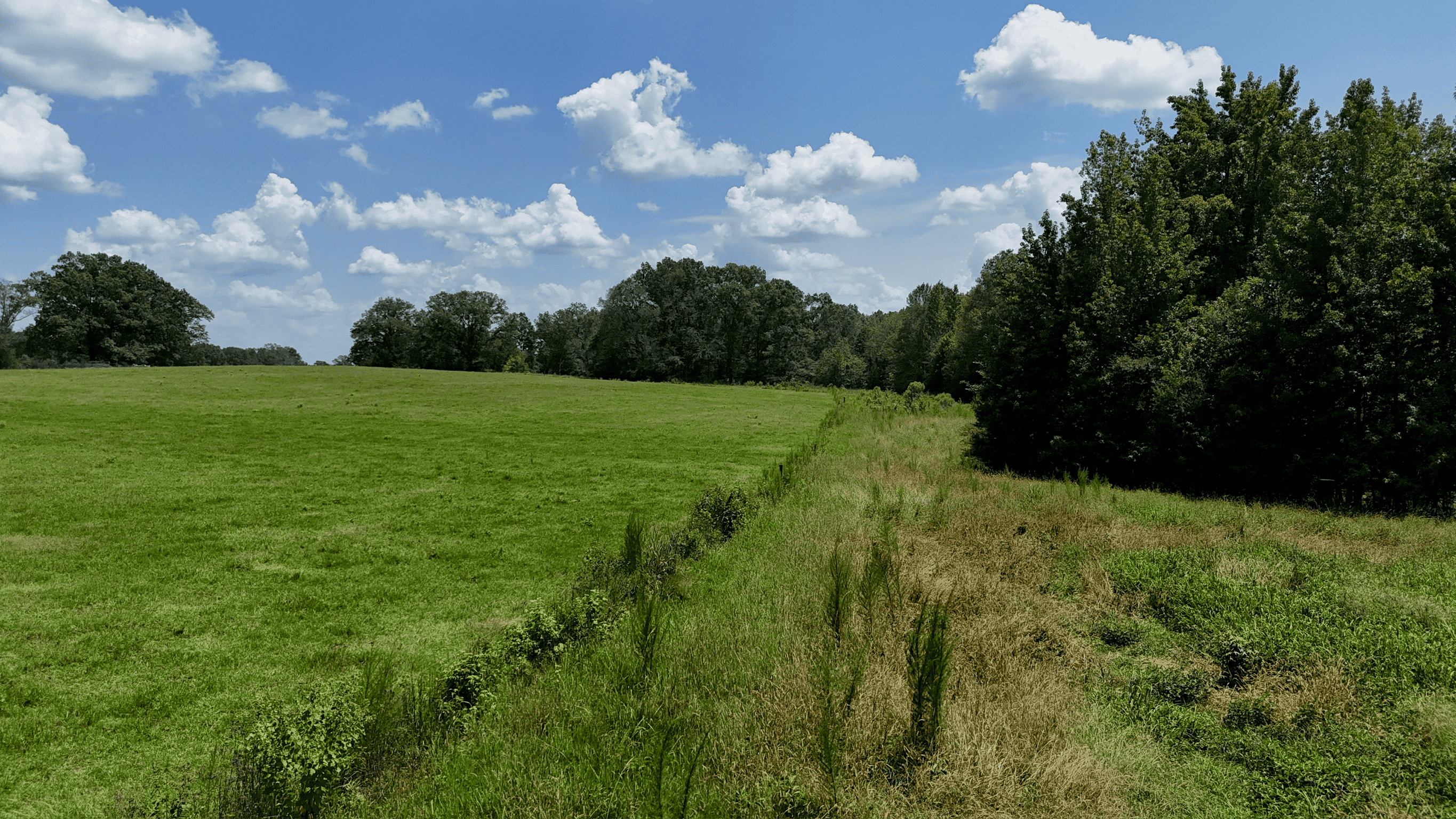 194 Acre Hunting, Homesite, and Pastureland for Sale