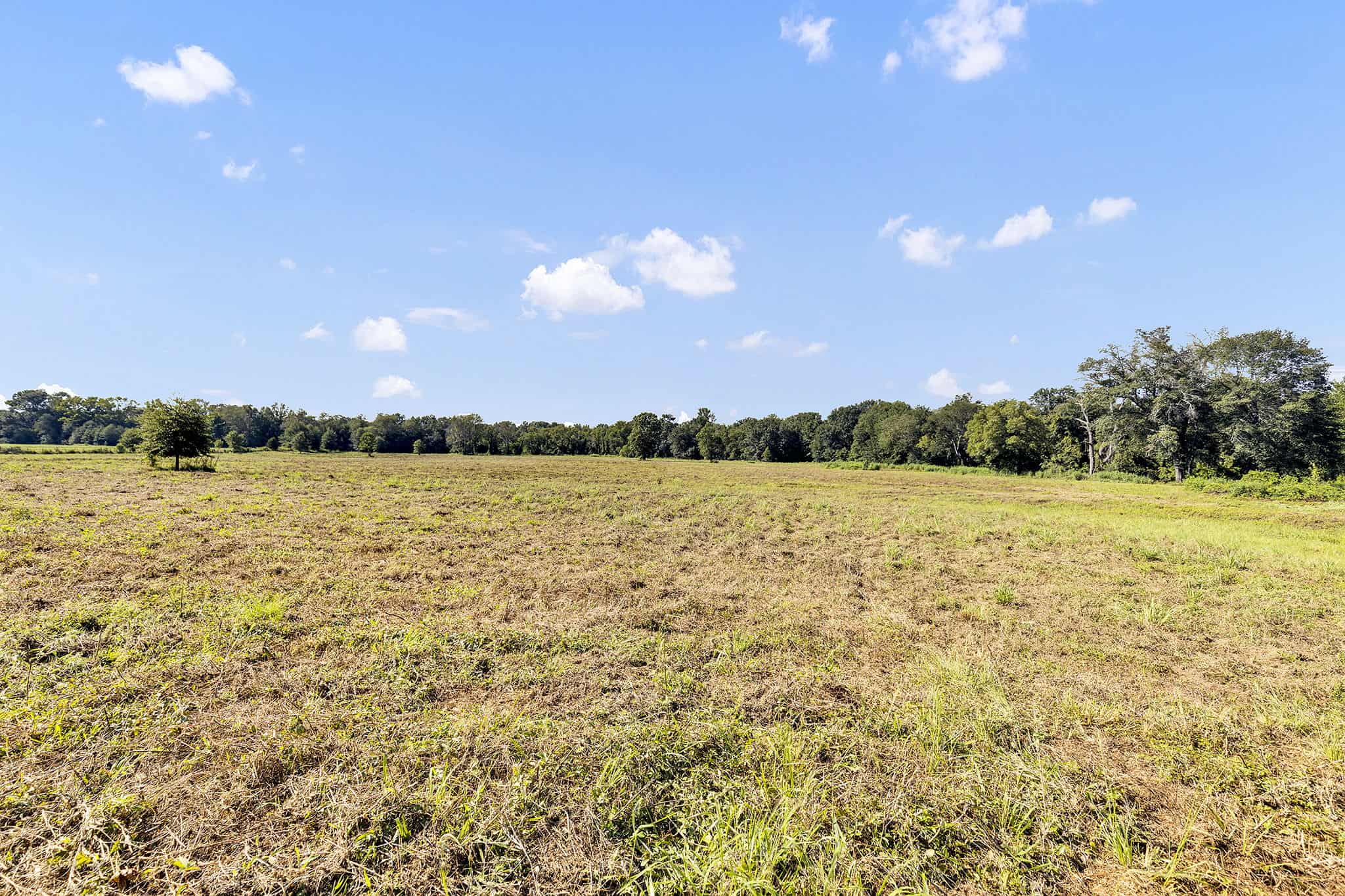 SOLD! Texas Neches Riverfront Hunting Property East of Dallas TX