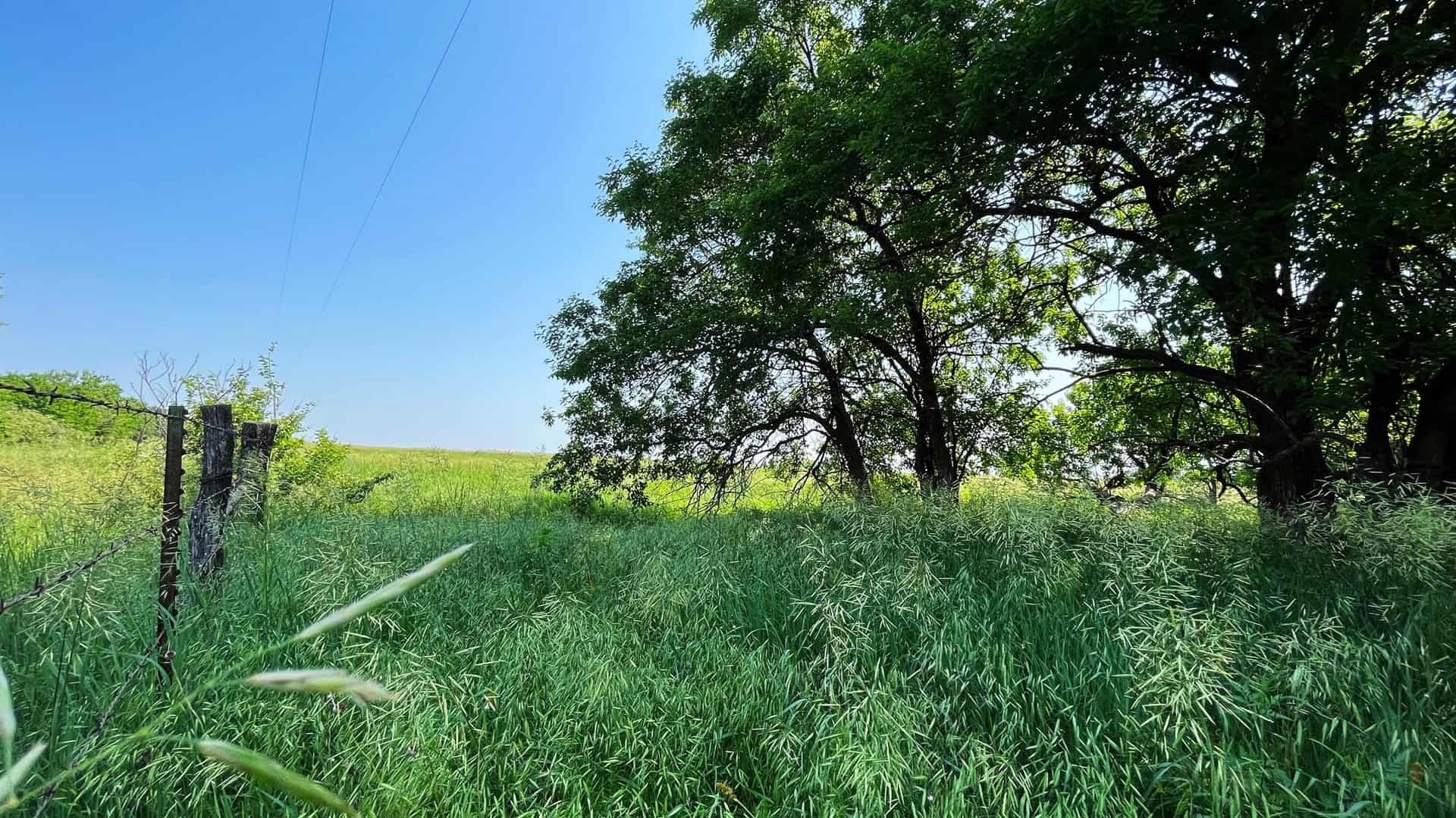 Osage County Kansas Pasture and Recreational Property