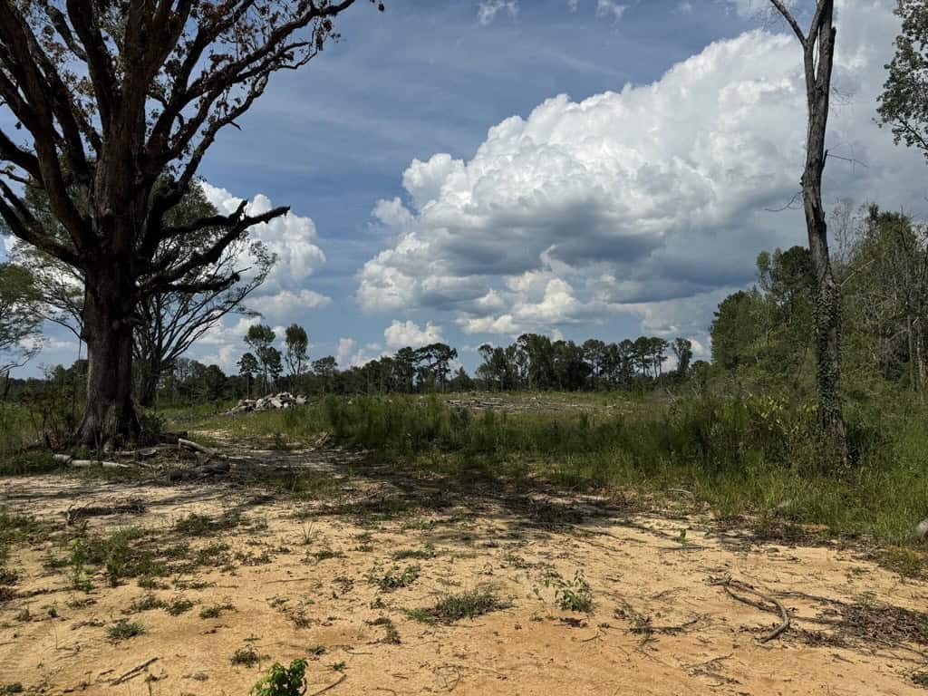 32 Acres Land for Sale Amite County, Mississippi