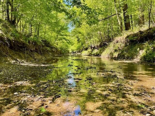 109 Acres For Sale Starkville MS