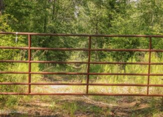 120 Acre Hunter’s Paradise in South MS for Sale