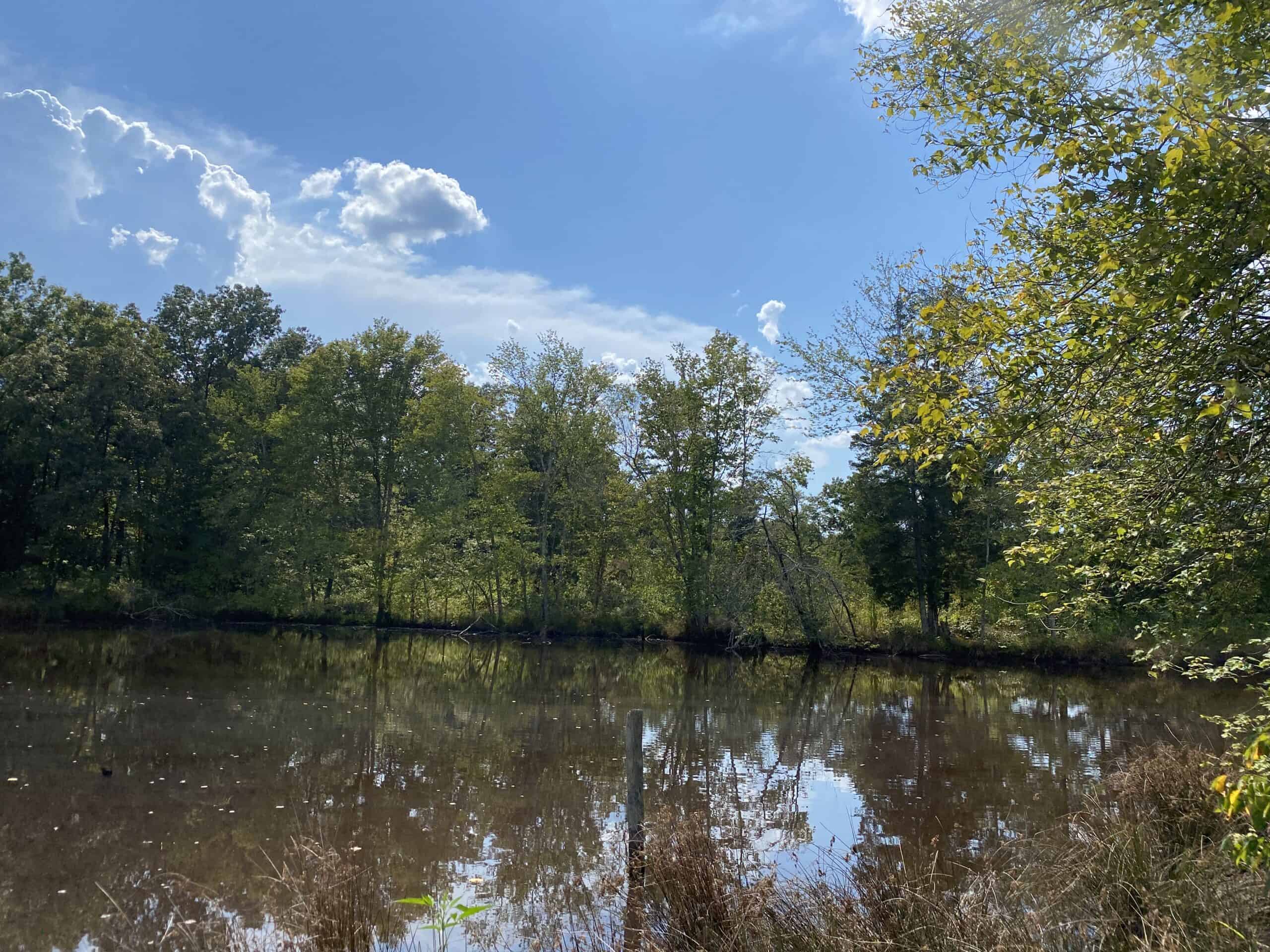 COUNTRY HOME FOR SALE IN TN, 68 AC+/-, SHEDS, POND, & CREEK