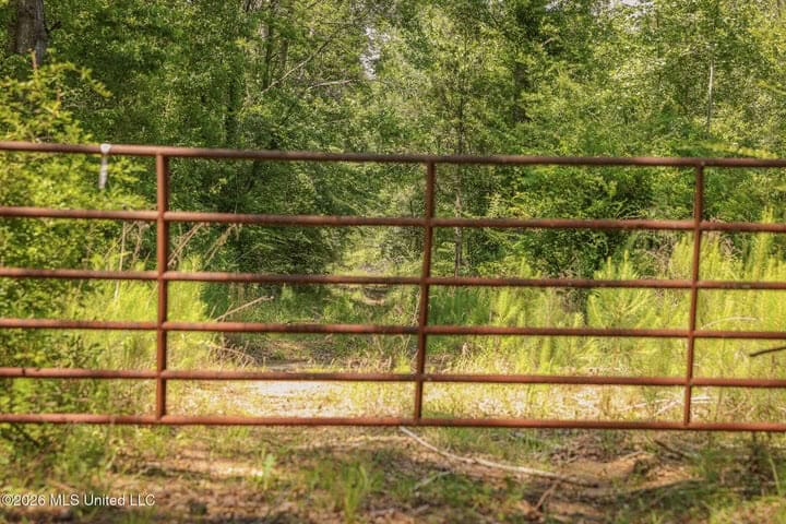 120 Acre Hunter’s Paradise in South MS for Sale