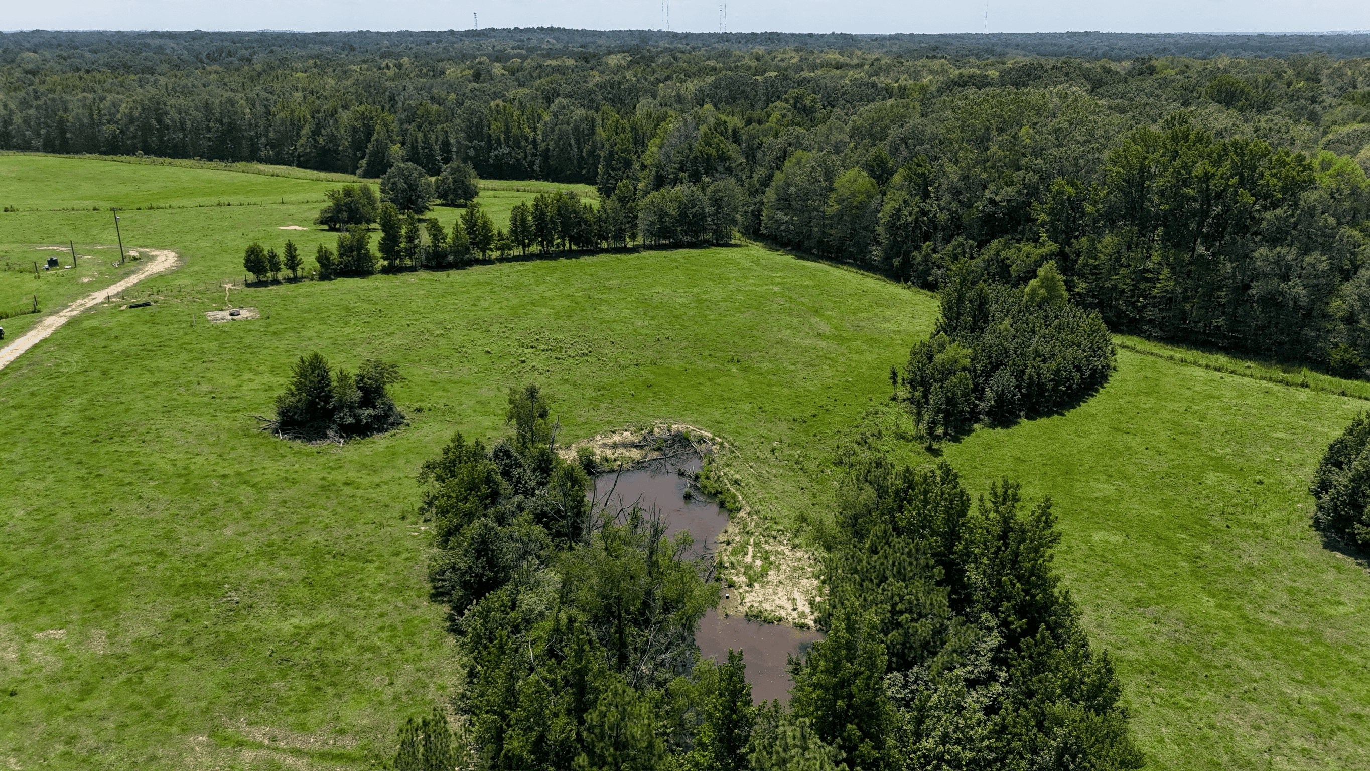 194 Acre Hunting, Homesite, and Pastureland for Sale