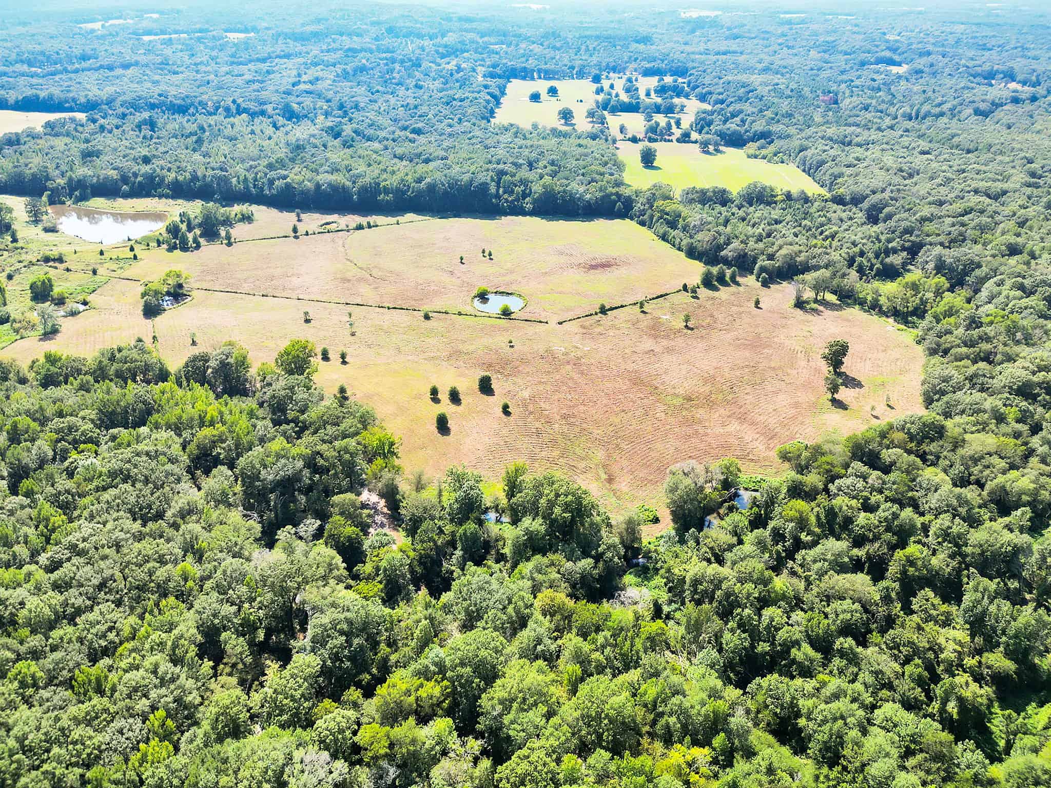 SOLD! Texas Neches Riverfront Hunting Property East of Dallas TX