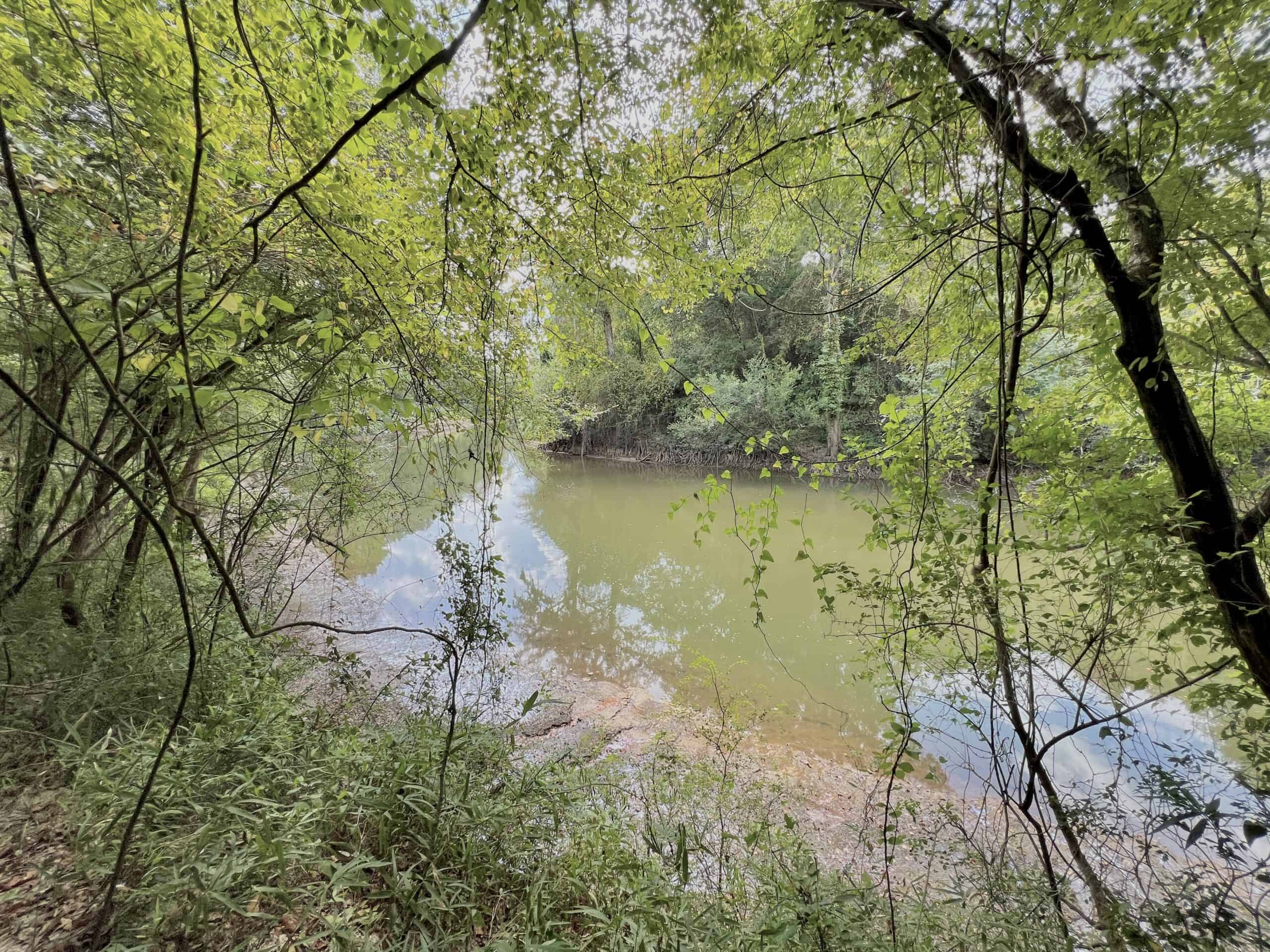 Prime Riverfront Hunting & Recreational Land for Sale in Samson Alabama!