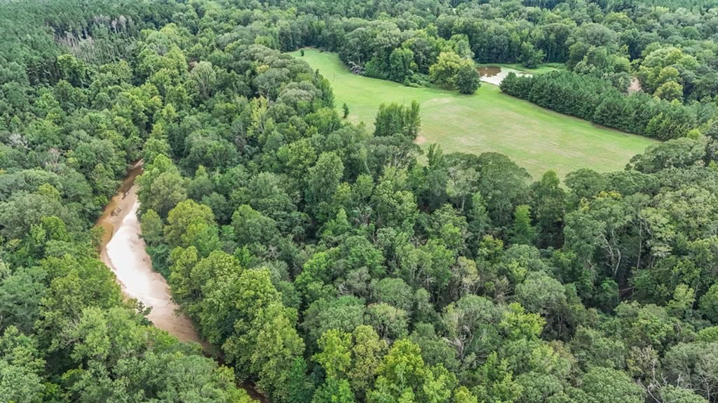 Lonely Live Oak – 1115 Acres Hunting Timberland SW MS