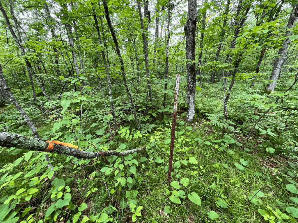 47 Ac Mississippi River Hunting Property Near Crosby, Minnesota