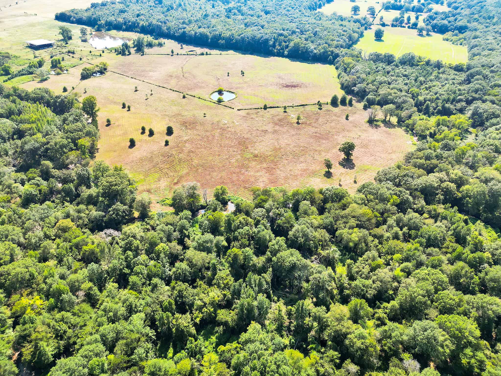 SOLD! Texas Neches Riverfront Hunting Property East of Dallas TX
