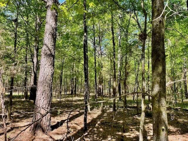 109 Acres For Sale Starkville MS