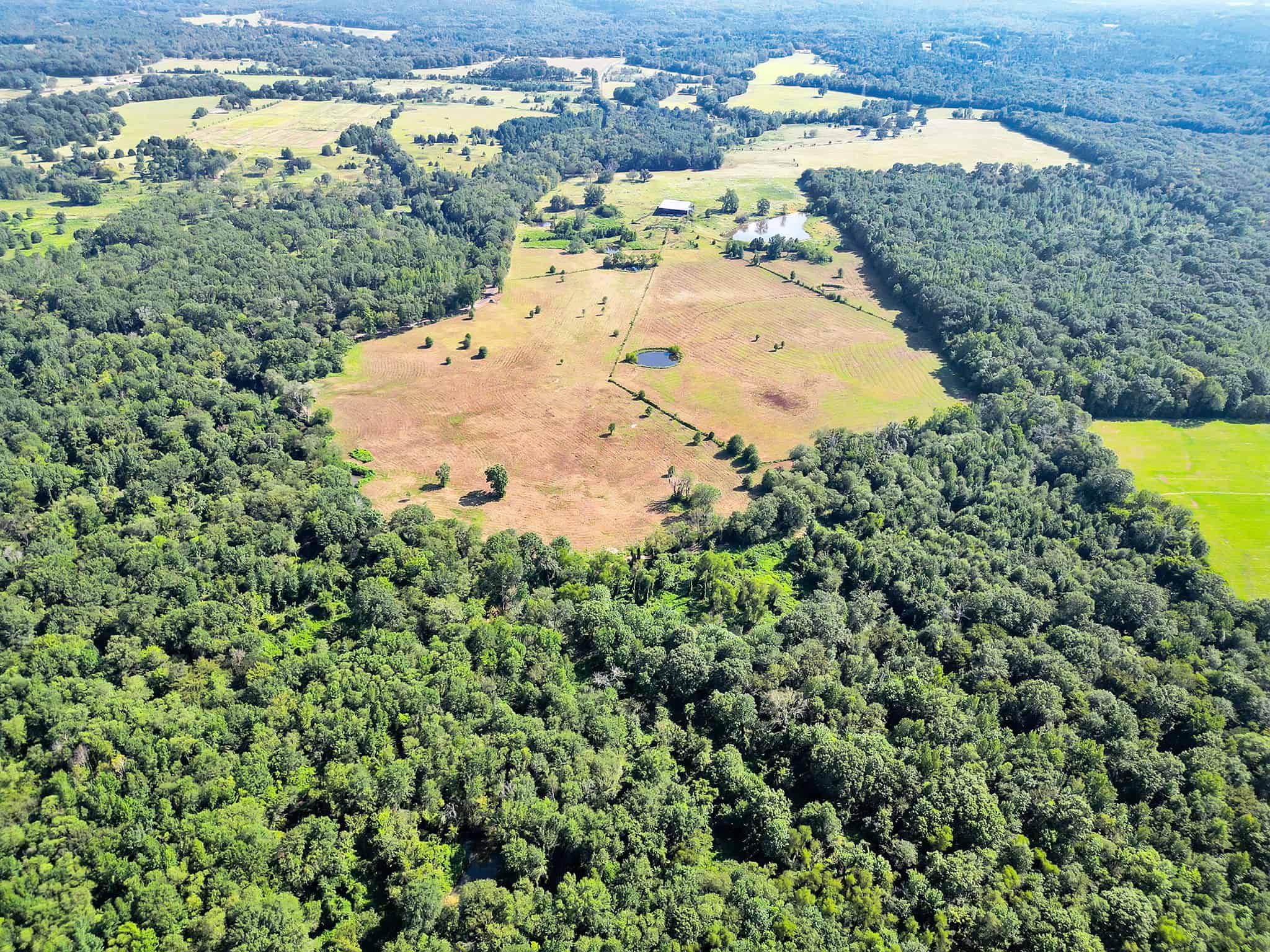 SOLD! Texas Neches Riverfront Hunting Property East of Dallas TX