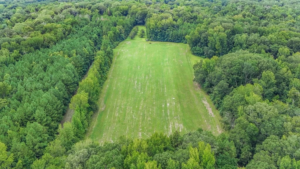 Lonely Live Oak – 1115 Acres Hunting Timberland SW MS