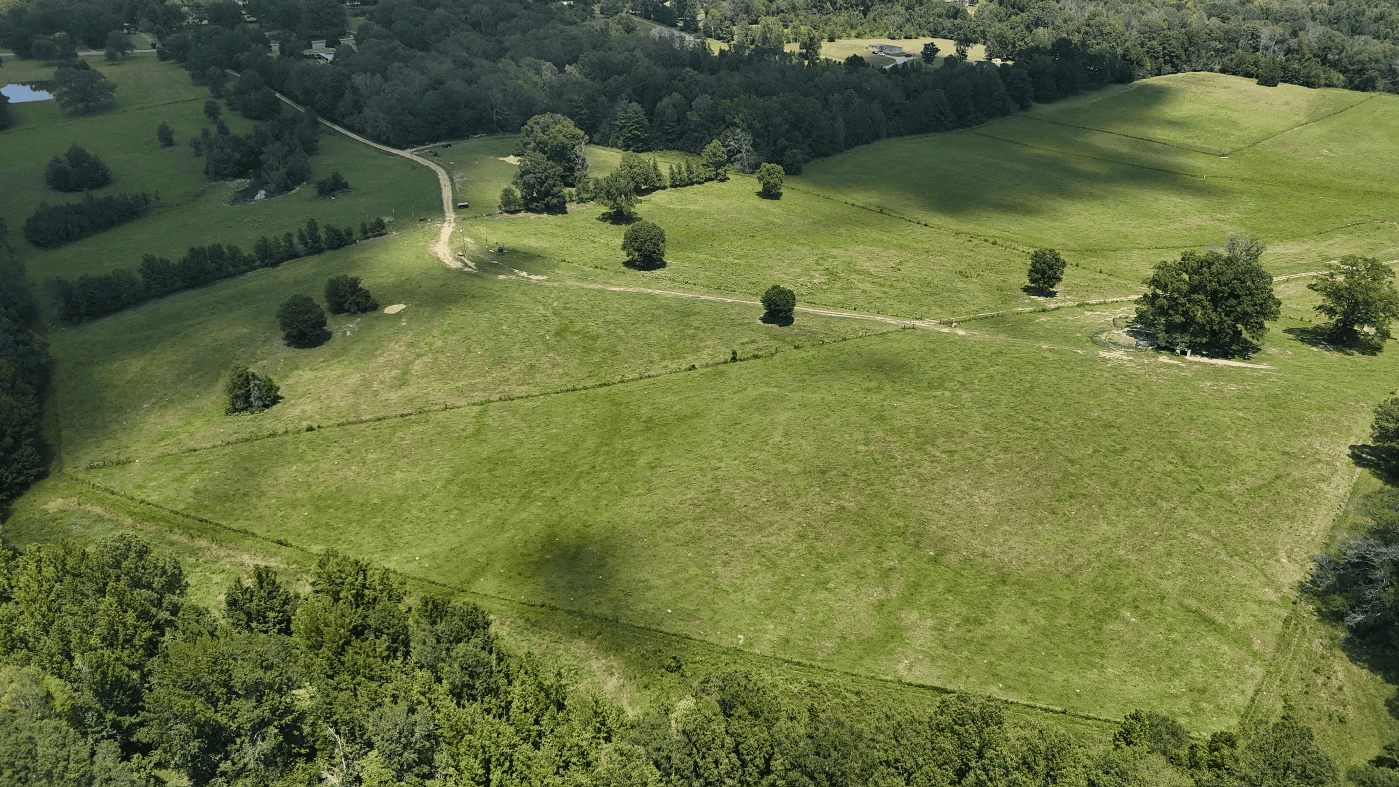 194 Acre Hunting, Homesite, and Pastureland for Sale