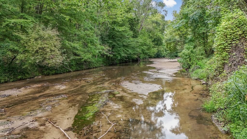 Lonely Live Oak – 1115 Acres Hunting Timberland SW MS