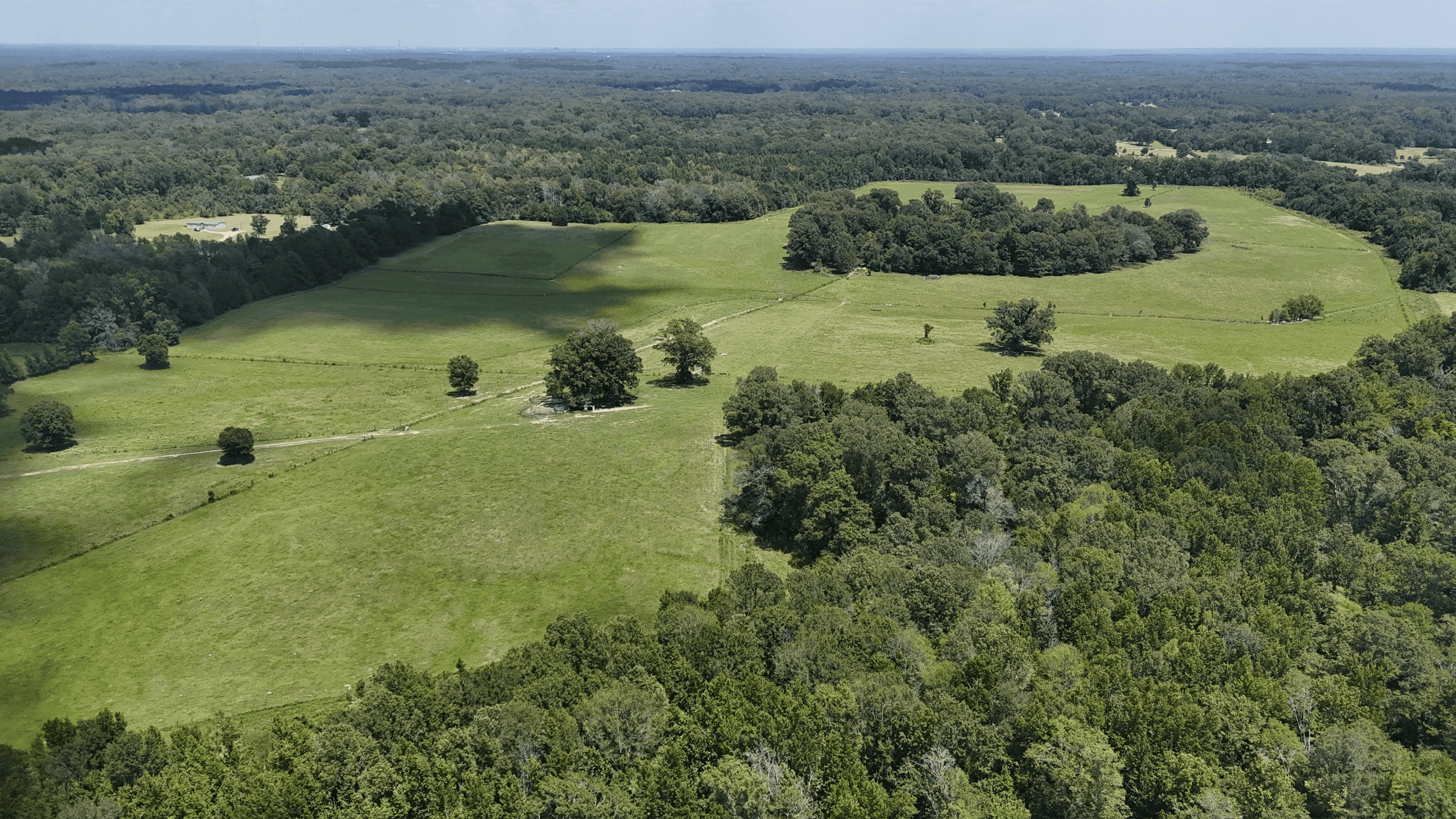 194 Acre Hunting, Homesite, and Pastureland for Sale