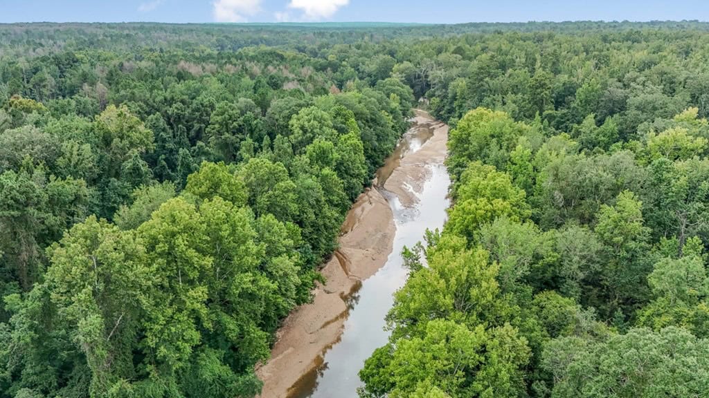 Lonely Live Oak – 1115 Acres Hunting Timberland SW MS