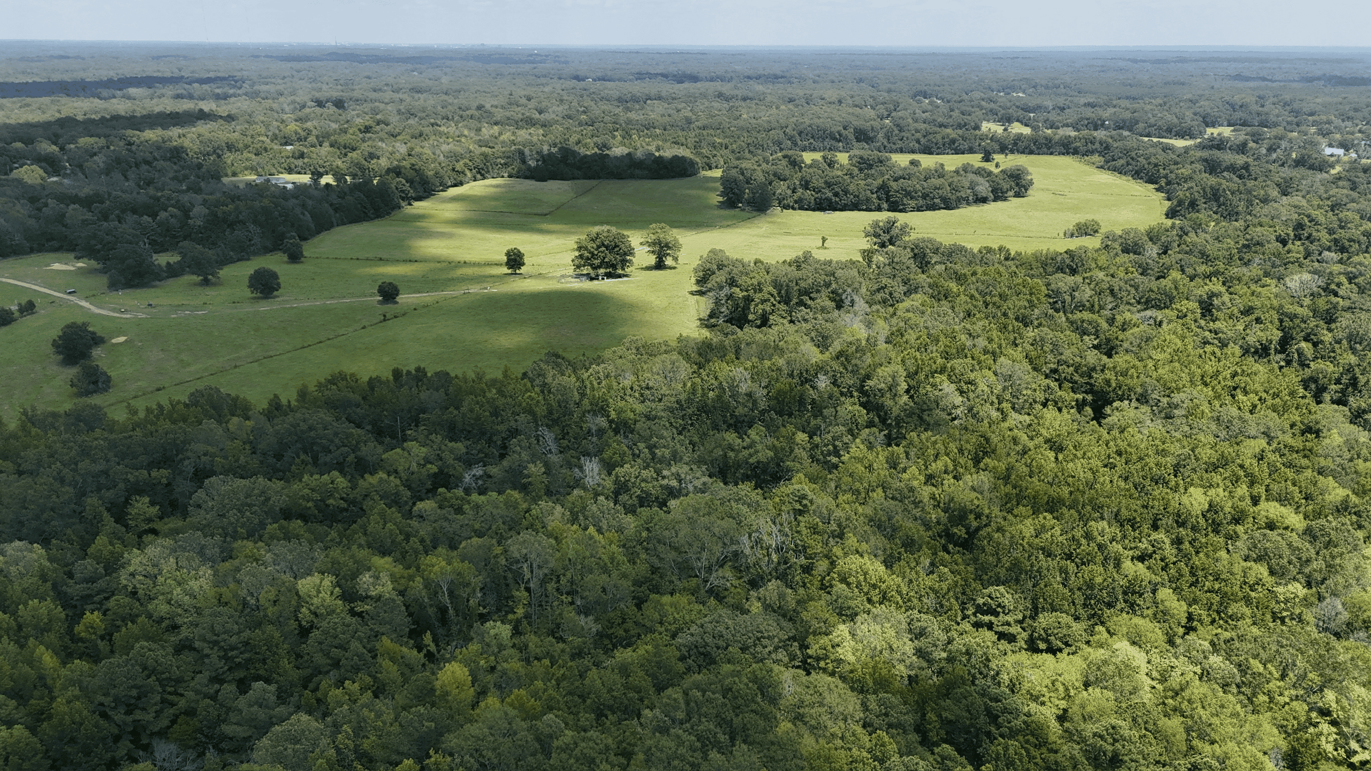 194 Acre Hunting, Homesite, and Pastureland for Sale