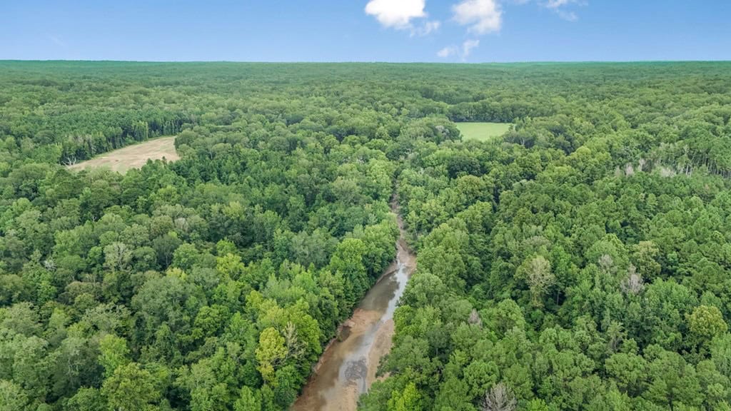 Lonely Live Oak – 1115 Acres Hunting Timberland SW MS