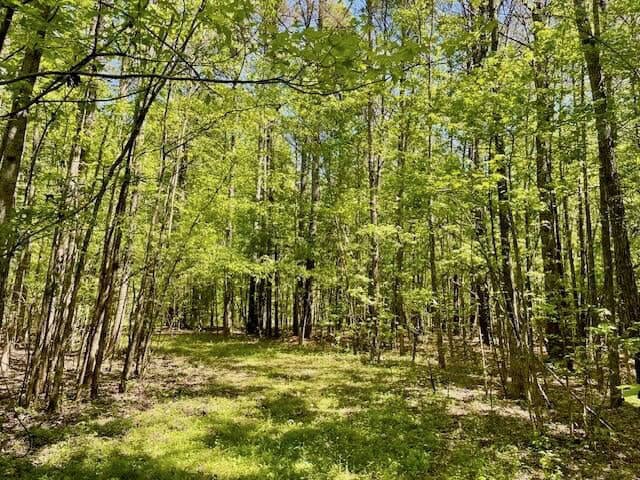 109 Acres For Sale Starkville MS
