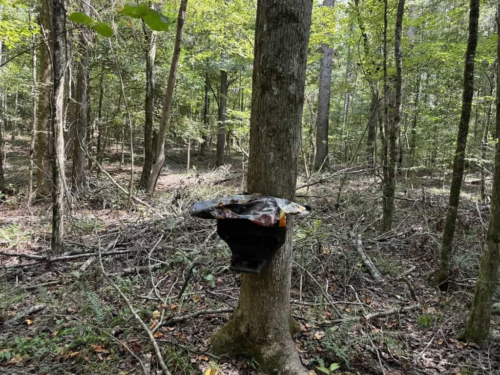 120 Acre Hunter’s Paradise in South MS for Sale