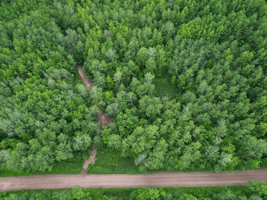 47 Ac Mississippi River Hunting Property Near Crosby, Minnesota