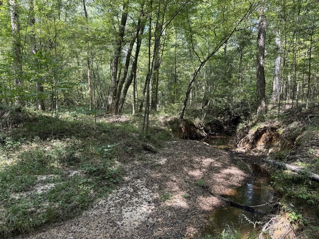 120 Acre Hunter’s Paradise in South MS for Sale