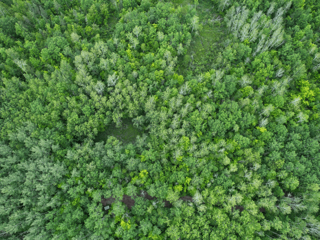 47 Ac Mississippi River Hunting Property Near Crosby, Minnesota