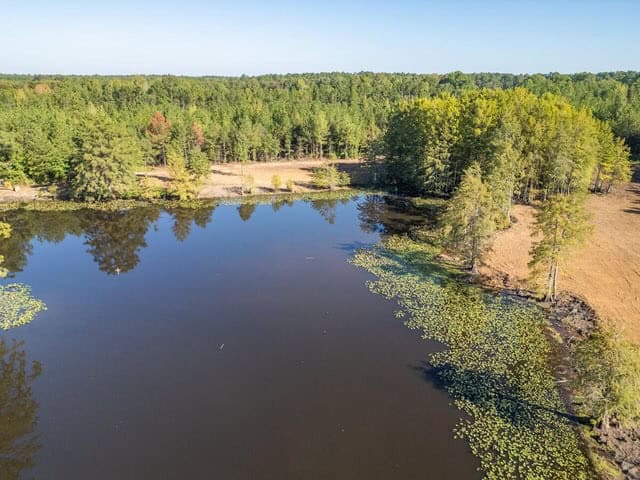 Cypress Lake 127 Acres in Starkville MS