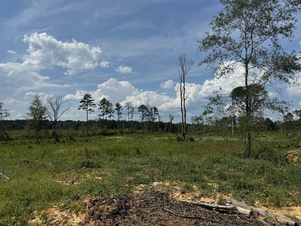 32 Acres Land for Sale Amite County, Mississippi