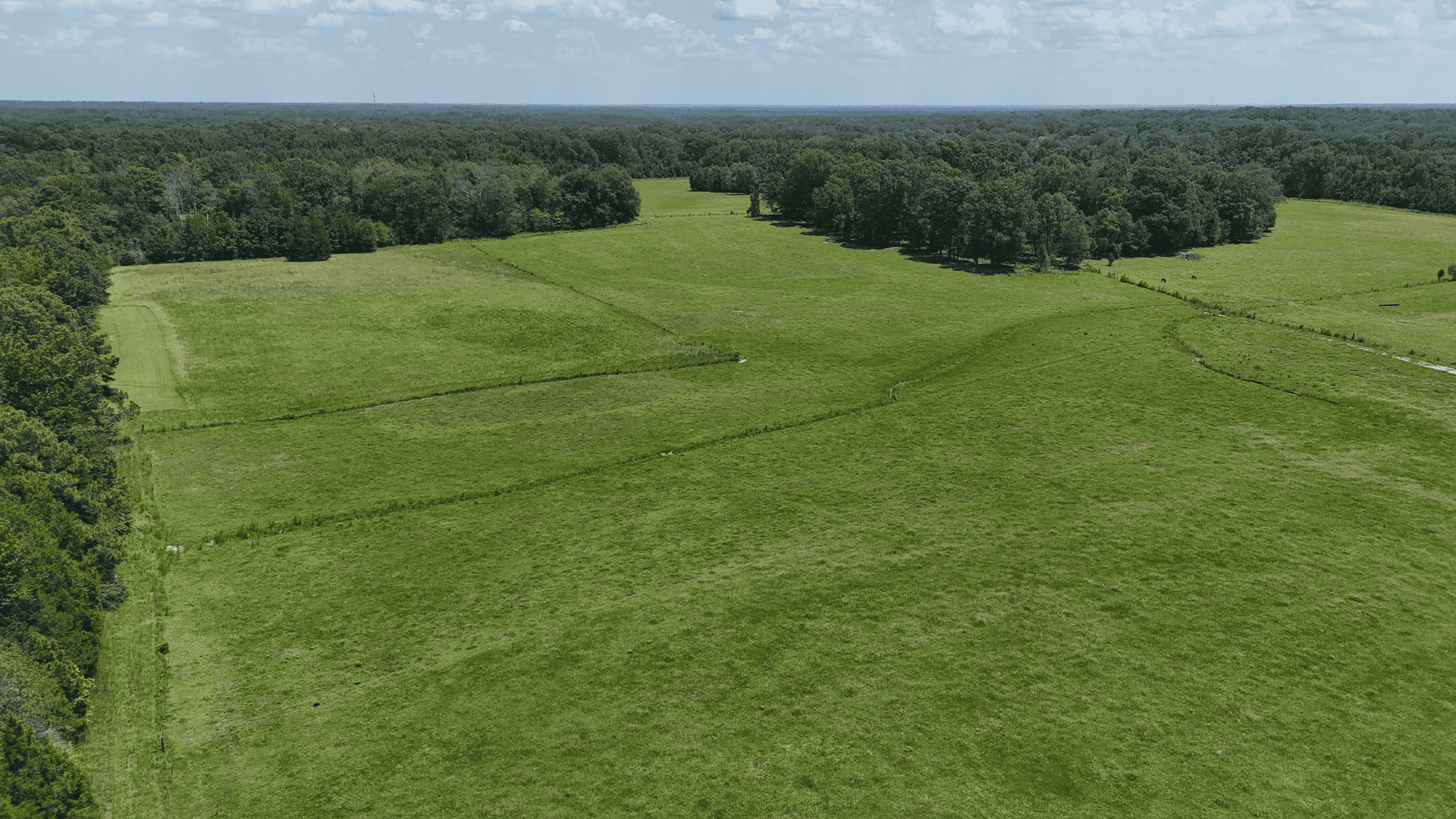 194 Acre Hunting, Homesite, and Pastureland for Sale