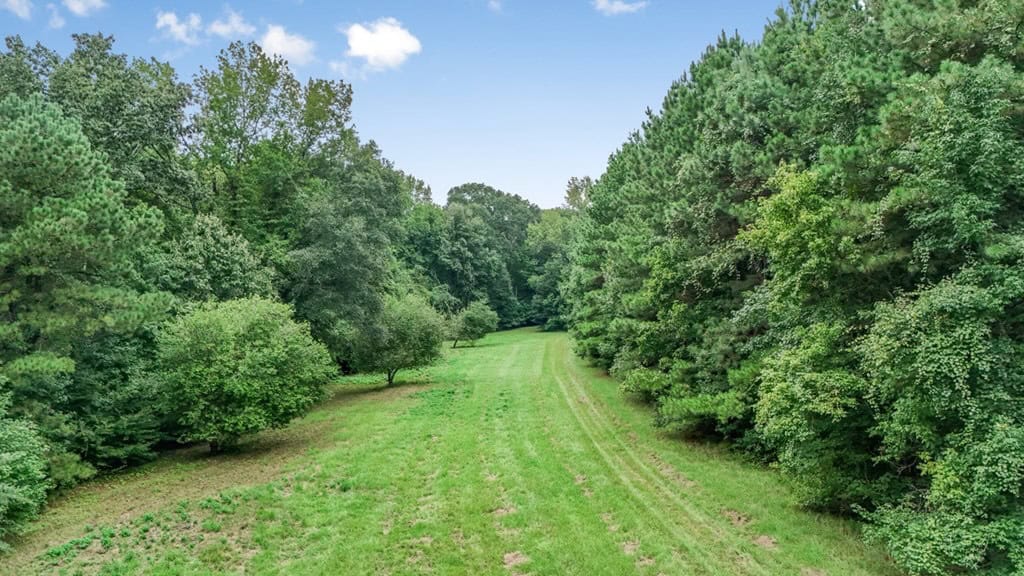 Lonely Live Oak – 1115 Acres Hunting Timberland SW MS