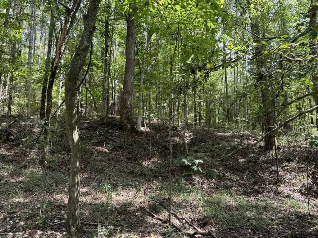 120 Acre Hunter’s Paradise in South MS for Sale