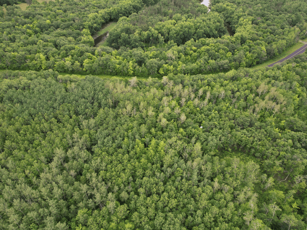 47 Ac Mississippi River Hunting Property Near Crosby, Minnesota