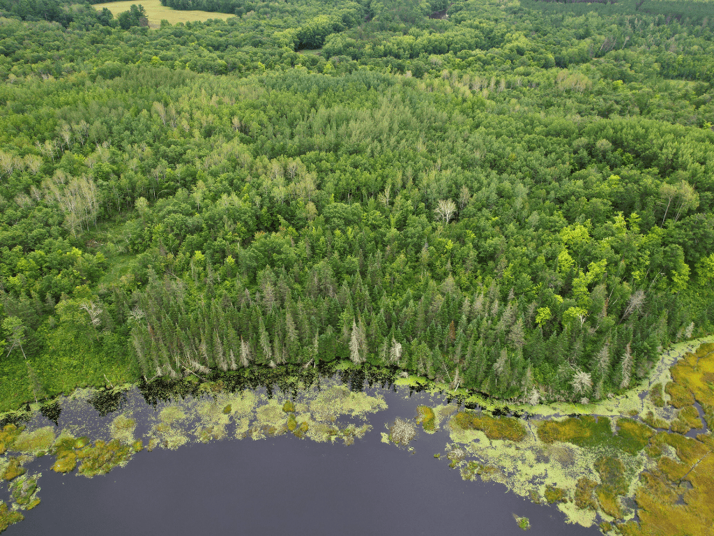 47 Ac Mississippi River Hunting Property Near Crosby, Minnesota