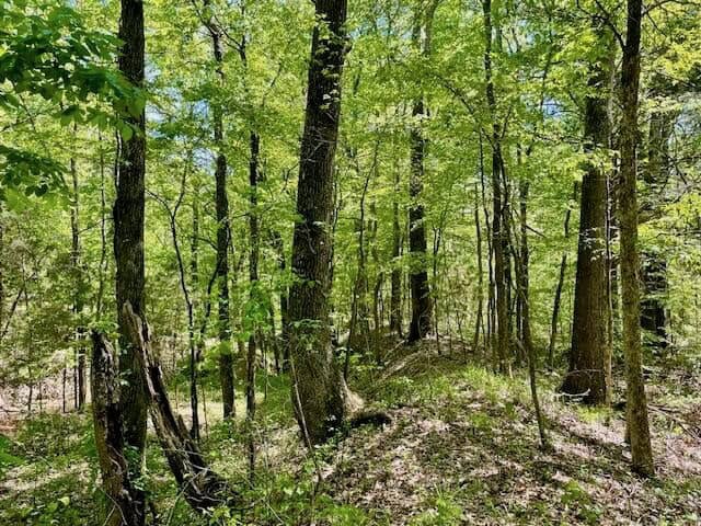 109 Acres For Sale Starkville MS
