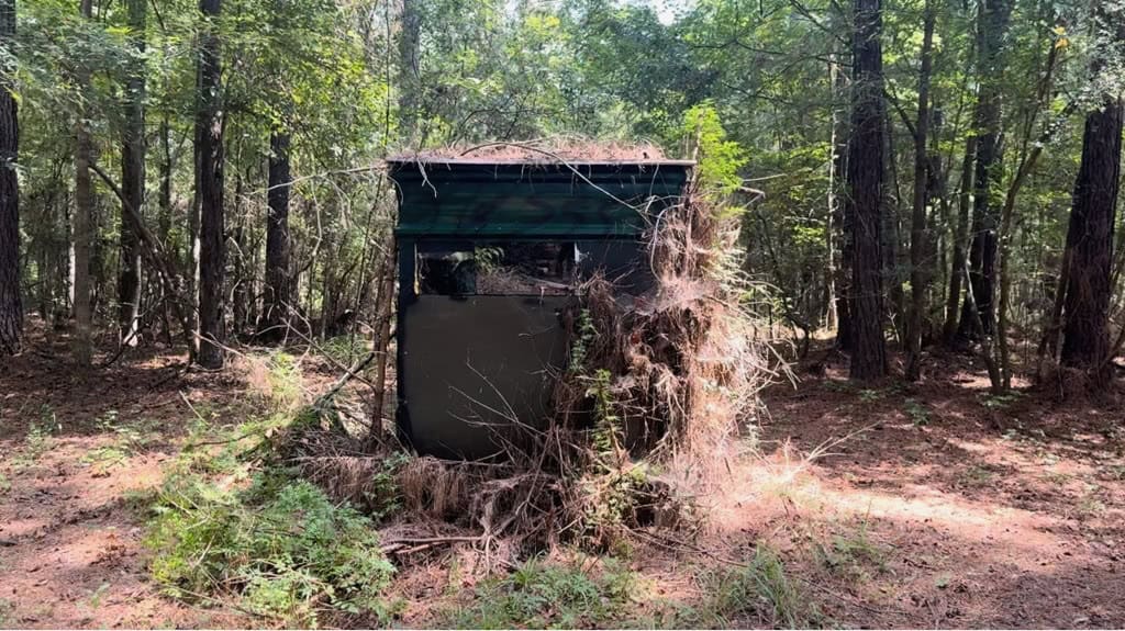 120 Acre Hunter’s Paradise in South MS for Sale