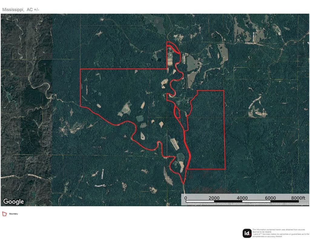 Lonely Live Oak – 1115 Acres Hunting Timberland SW MS