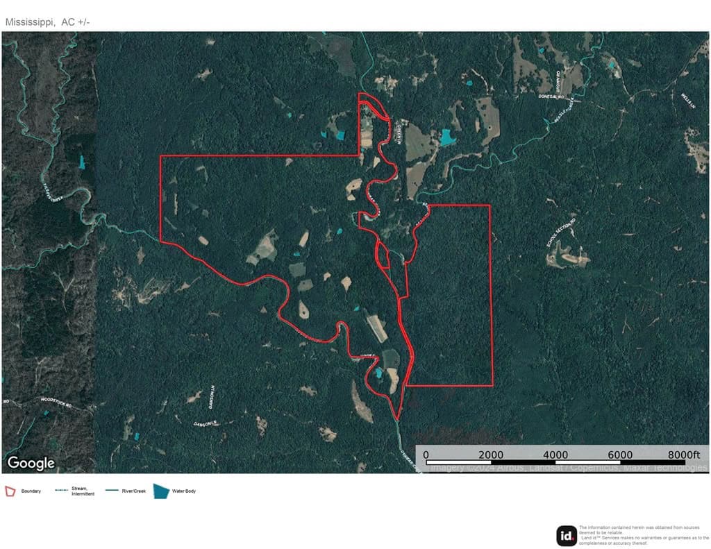 Lonely Live Oak – 1115 Acres Hunting Timberland SW MS