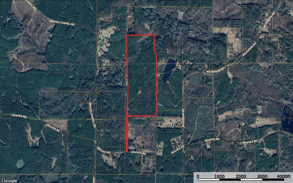 120 Acre Hunter’s Paradise in South MS for Sale