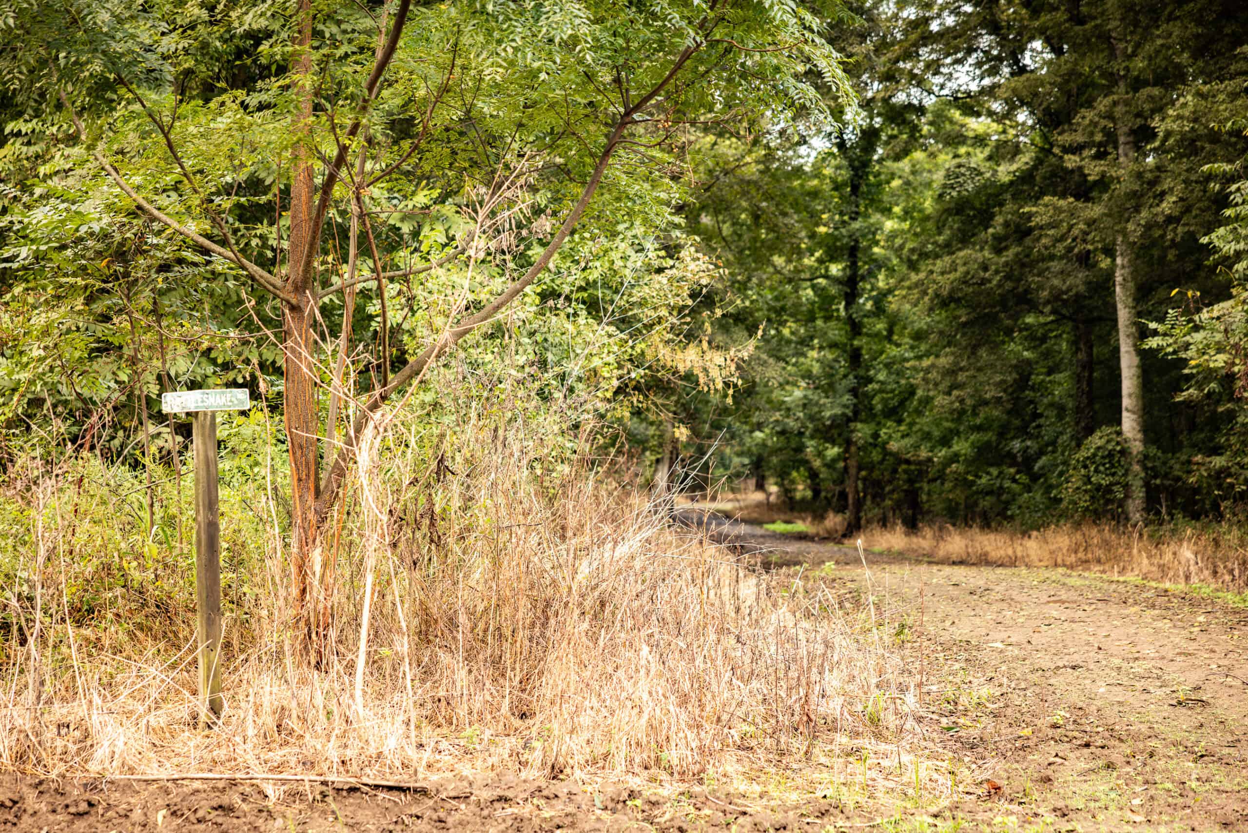 Premier Hunting Property for Sale on Mississippi River