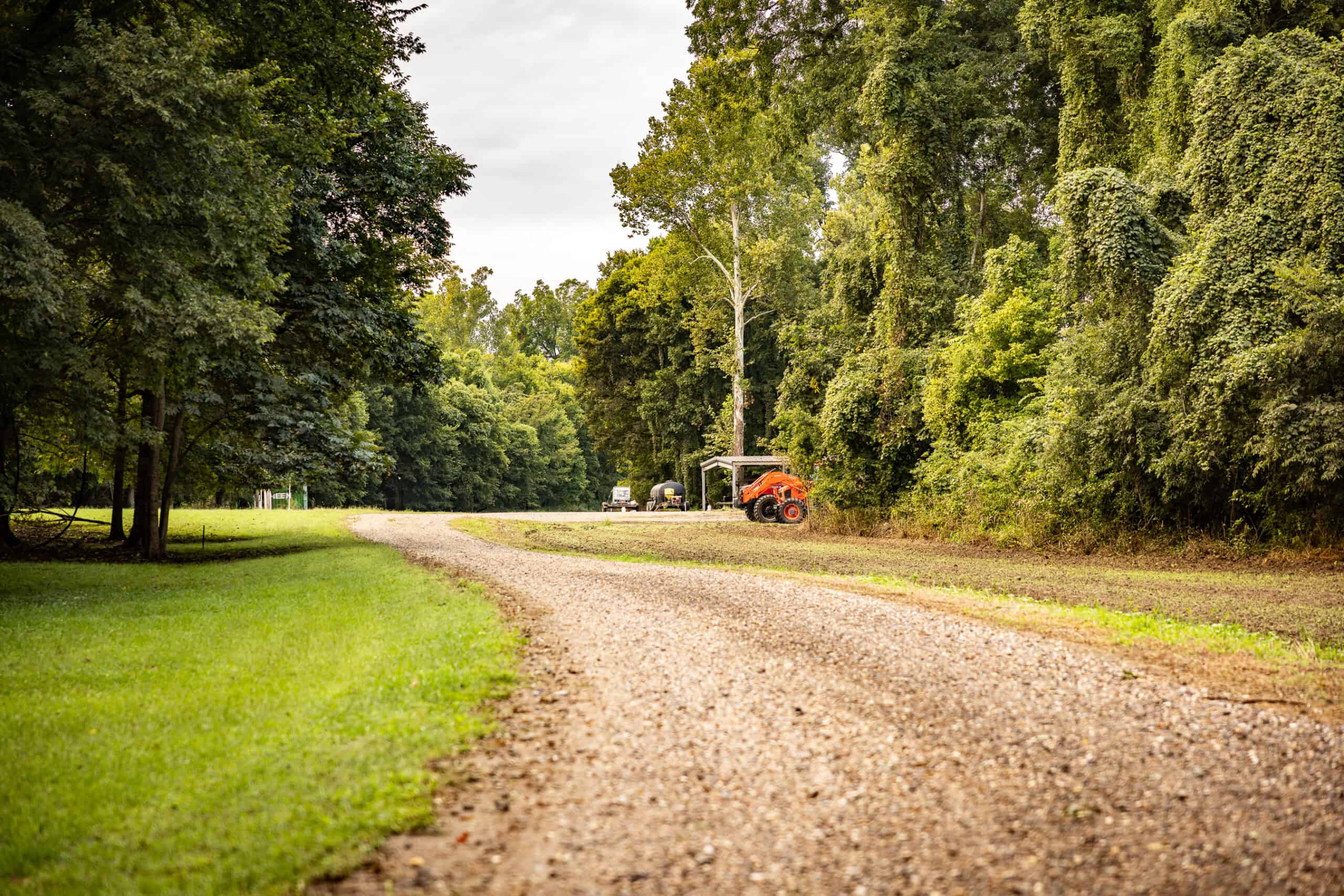 Premier Hunting Property for Sale on Mississippi River