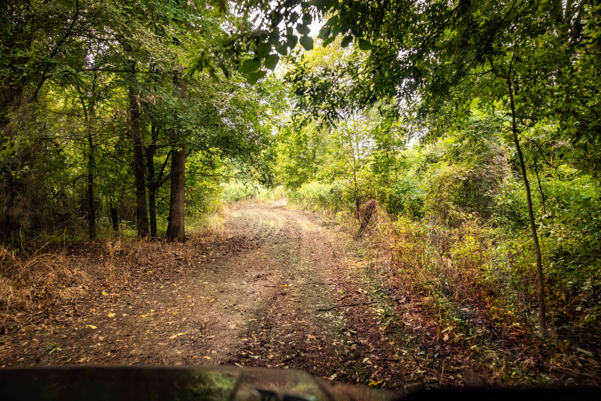 Premier Hunting Property for Sale on Mississippi River
