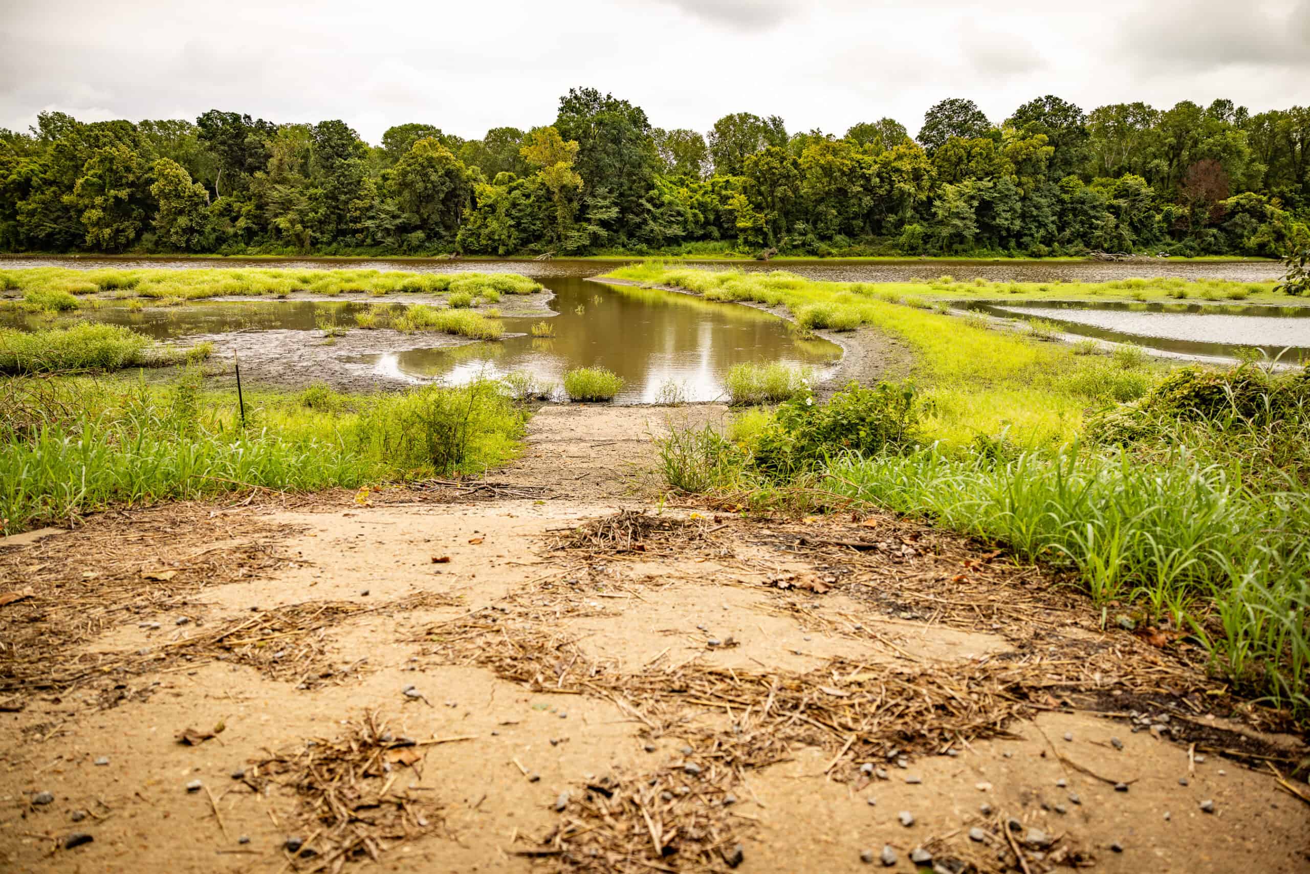 Premier Hunting Property for Sale on Mississippi River
