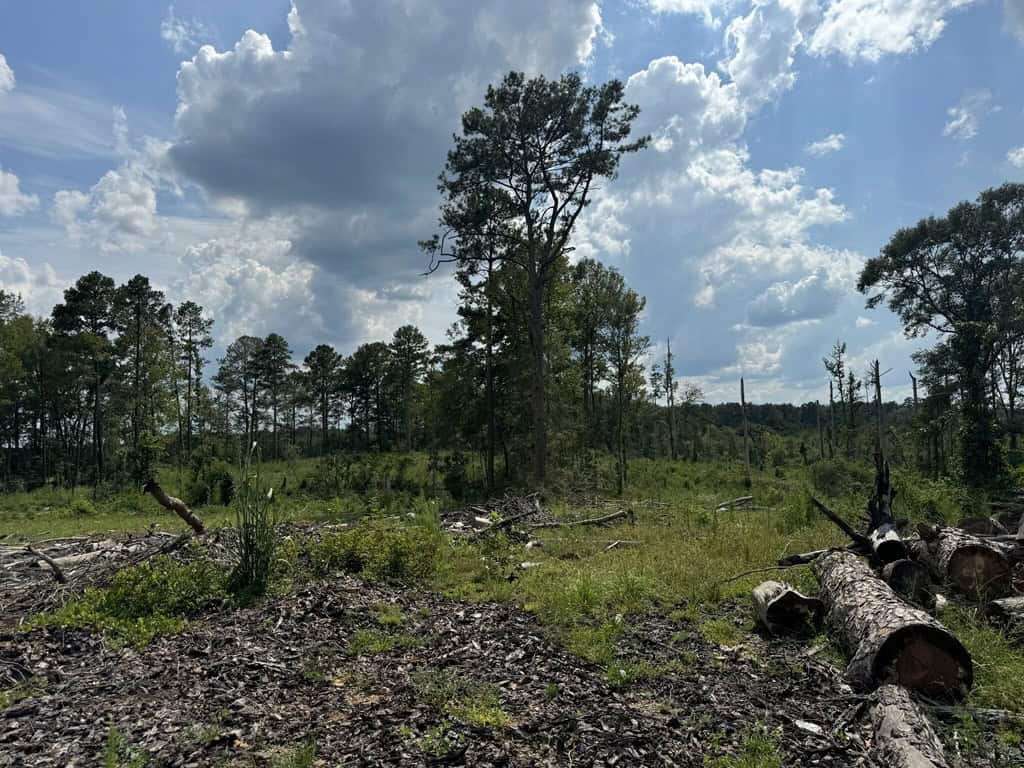 32 Acres Land for Sale Amite County, Mississippi